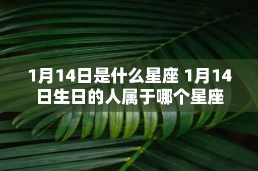 一月二十四是什么星座，一月二十四生日星座特点解析