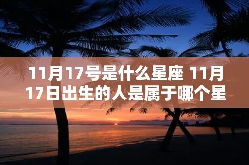 1117是什么星座，生日在11月17日的人属于什么星座