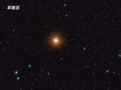 二月二十号什么星座（二月二十日出生的人属于哪个星座）