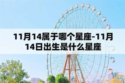 11月14日是什么星座，11月14日生日星座特点解析