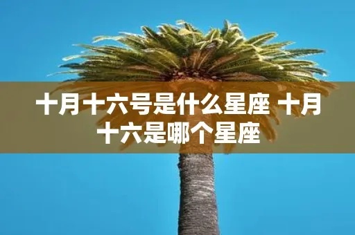 10月06日是什么星座（十月六日出生的人属于哪个星座）