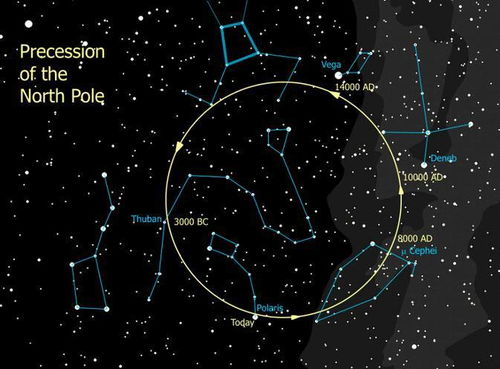 北极星在哪个星座,北极星属于哪个星座的星星