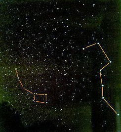 北极星在哪个星座,北极星属于哪个星座的星星