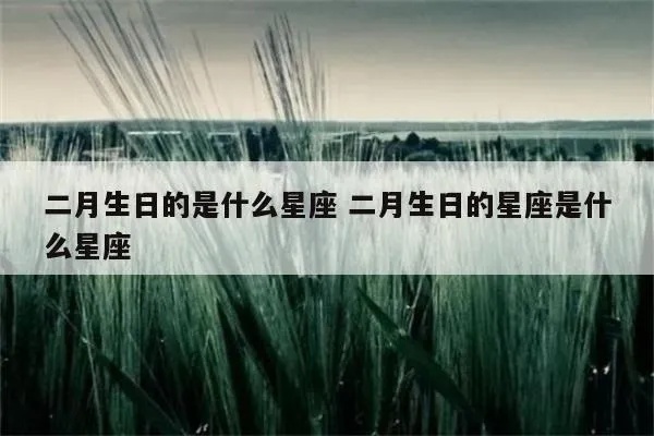 二月23日生日的是什么星座,二月23日星座特点分析