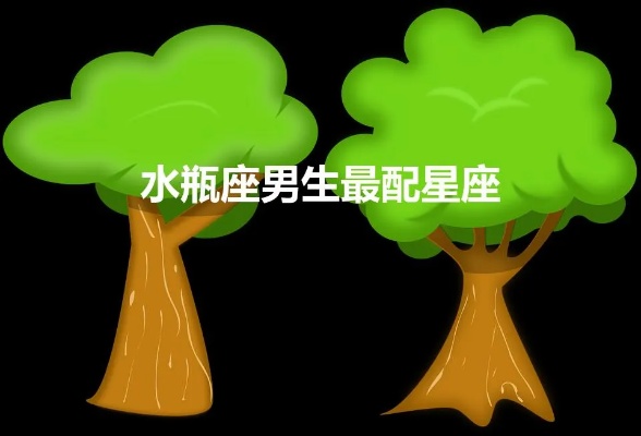 水瓶男和什么星座最配（星座配对指南）