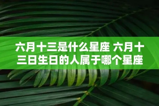 六月初三是什么星座（解读六月初三出生人的星座特点）