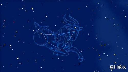 9月末什么星座（9月底的星座运势）