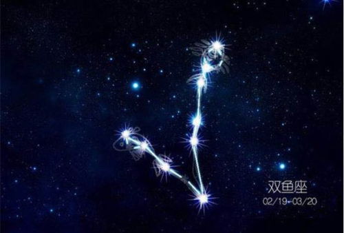 双鱼座容易克制哪些星座，双鱼座配对指南