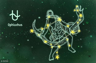 冬月十三是什么星座（十三月星座解析）