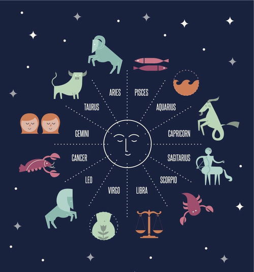 12月27日是什么星座的,12月27日星座特点解析