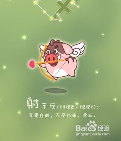 十一月23号是什么星座（十一月23号出生的人属于哪个星座）