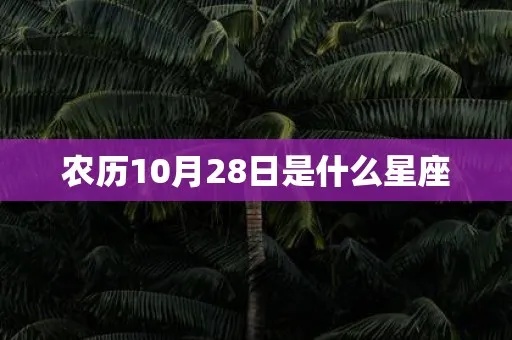 农历10月28日是什么星座，农历10月28日生日星座特点分析