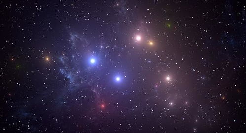 什么星座最单纯（星座性格分析）