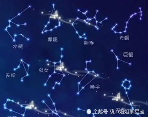 这个月是什么星座（本月星座运势解析）