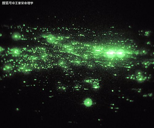 11月25日什么星座（星座运势查询）