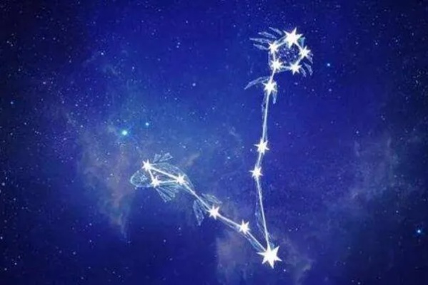 2月6是什么星座（水瓶座还是摩羯座？）