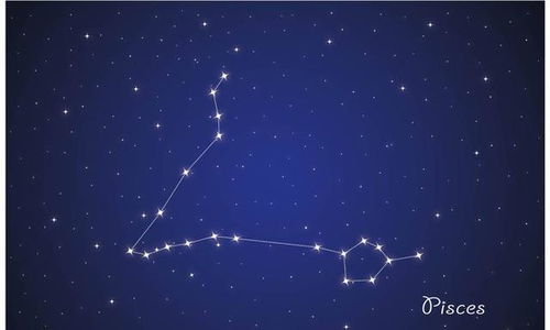 9月初四是什么星座？星座九月初四出生的性格特点