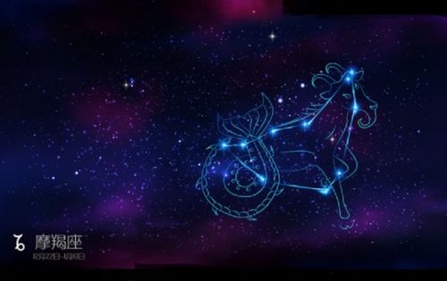 山羊座是什么星座（山羊座性格特点和运势解析）