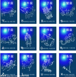 314星座是什么，314星座特点解析