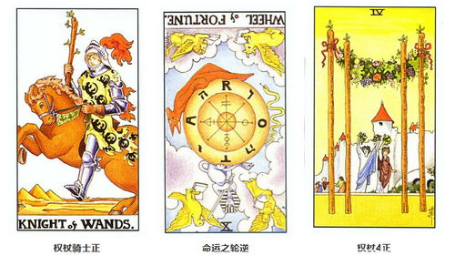 7.13什么星座（7月13日生日的人是什么星座）