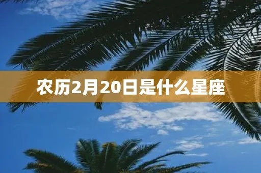 农历2月是什么星座（农历2月出生人的星座特征）