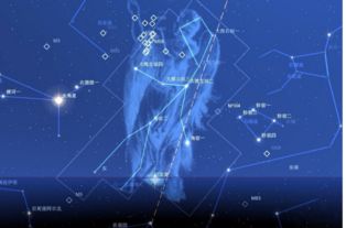 4月24日什么星座（4月24日出生人的星座特点）