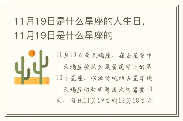 十一月十九是什么星座（十一月十九日生日的人属于哪个星座）