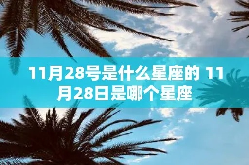 11月28号什么星座（11月28日出生的星座是什么）