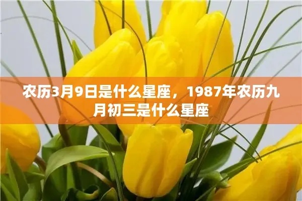 三月初九是什么星座，三月初九星座特点一览