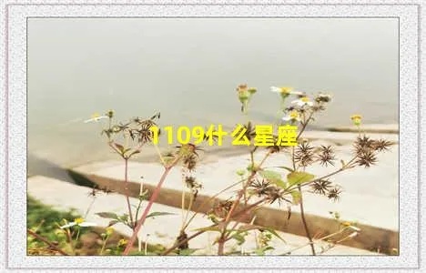 1109是什么星座（探索星座之谜）