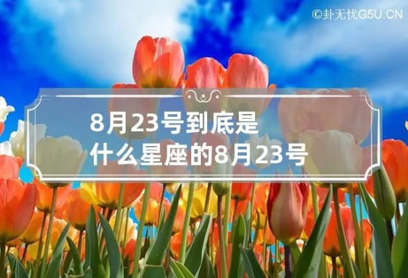 8月23日什么星座（8月23日出生的人属于哪个星座）