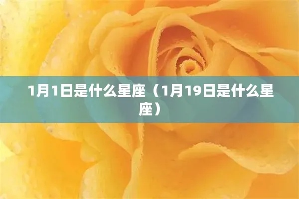 1月19日是什么星座,1月19日星座运势分析