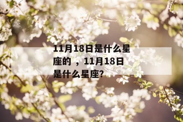 11月18日是什么星座，11月18日生日有什么特点