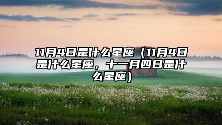 阳历11月4号是什么星座（星座查询方法分享）