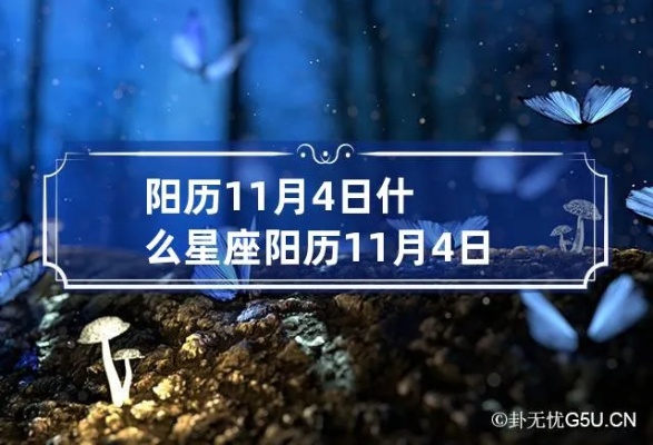 阳历11月4号是什么星座（星座查询方法分享）