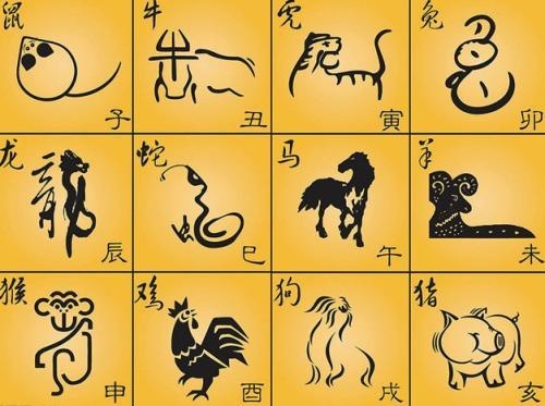 十二生肖是什么星座（十二生肖对应的星座是什么）
