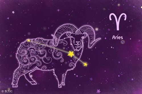 十月有什么星座（探索十月的星座世界）