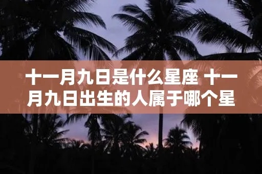 十一月初九是什么星座（十一月初九出生的人属于哪个星座）