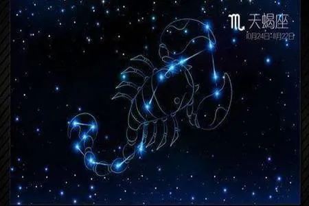 天蝎座和什么星座最合适,十二星座配对分析