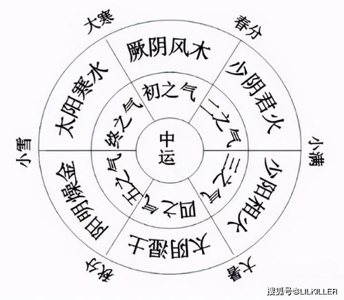 阴历8月11是什么星座，生肖属什么，星座特点解析