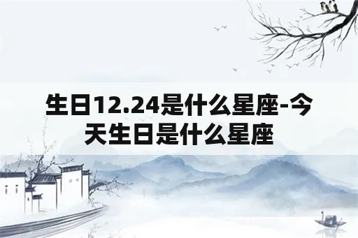 12月24是什么星座（12月24日生日的星座是什么）