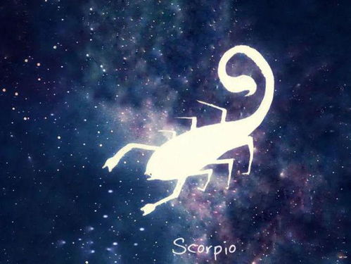 十月二十八号是什么星座（属于天蝎座的哪一天）