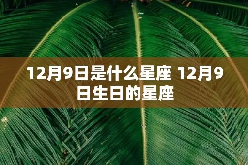 12月9日是什么星座，12月9日星座性格特点分析