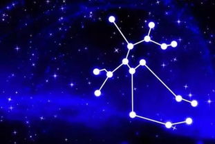 水瓶座适合什么星座（水瓶座的恋爱对象）