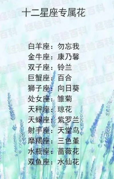 十二星座最喜欢什么花（探秘星座花语之谜）