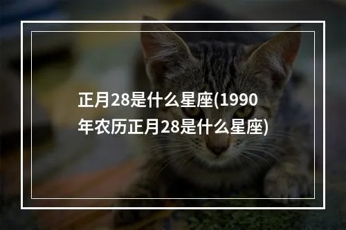 正月28是什么星座（根据农历判断星座）