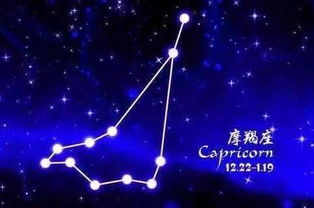 什么星座最聪明最漂亮（十二星座智慧美貌排行榜）