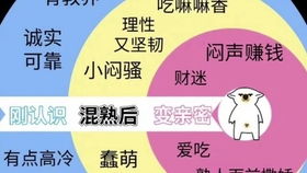 阳历12月6日是什么星座（星座查询及性格分析）