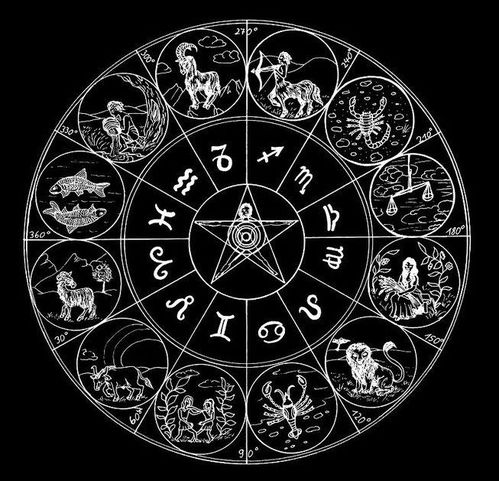 8月属于什么星座（8月出生的人是什么星座）
