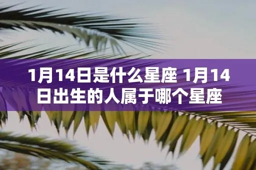1.14是什么星座（1月14日出生的人属于什么星座）